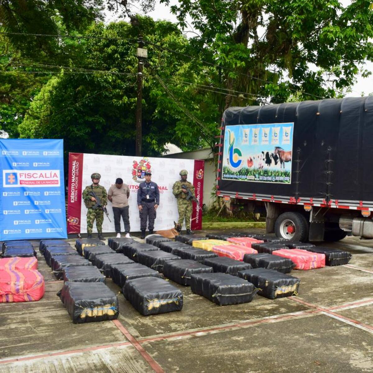 Ejército incautó tonelada y media de marihuana de disidencias FARC en Caquetá