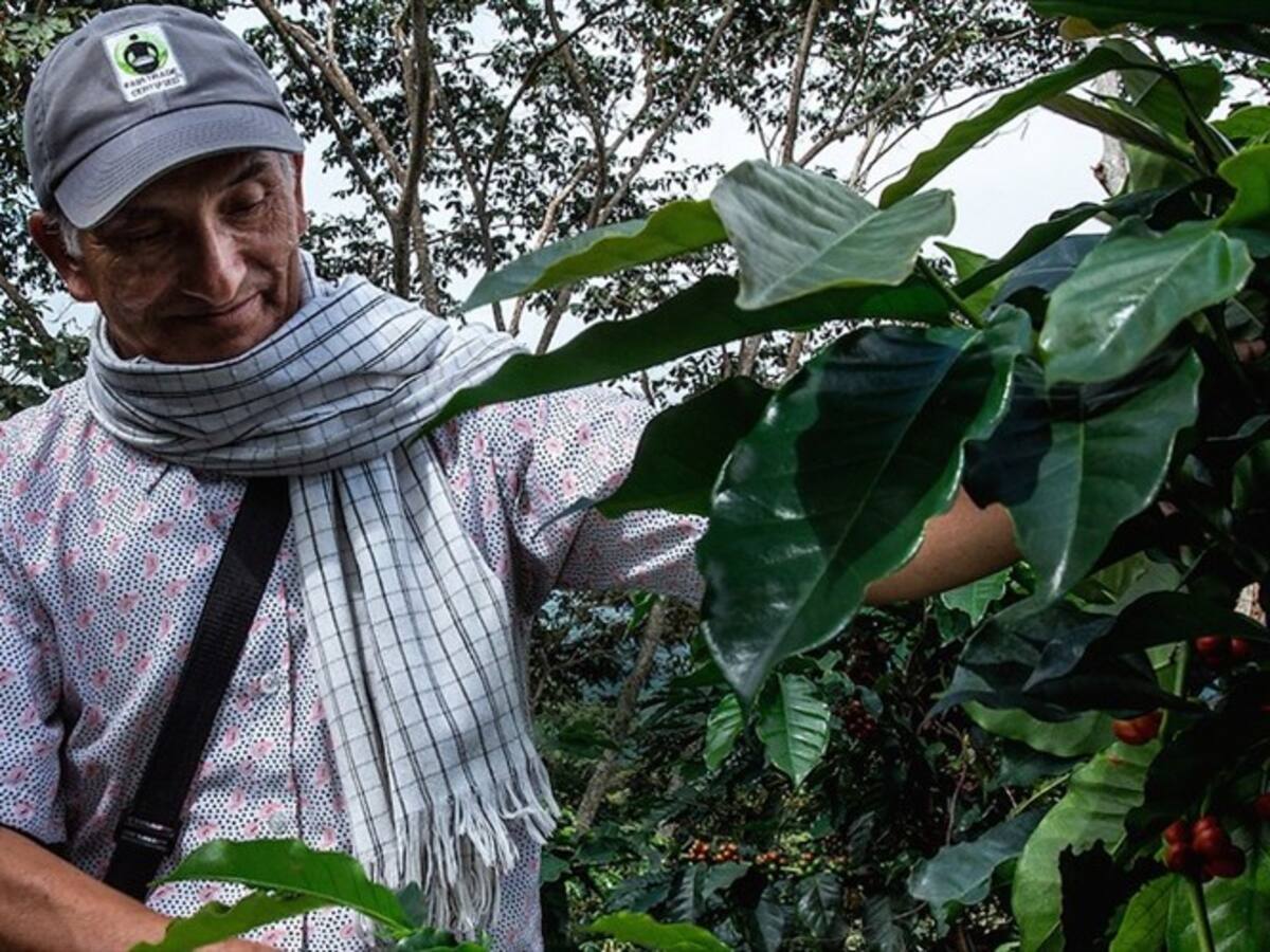 Producción de café de Colombia creció 3% en últimos 12 meses