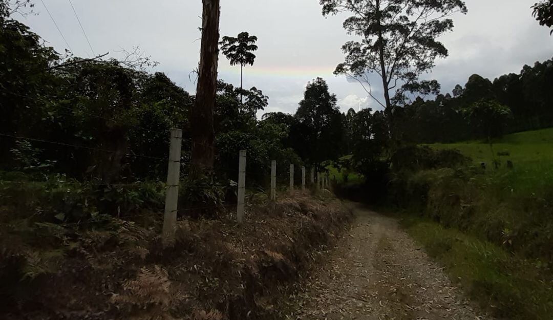 Los caminos rurales del municipio de Filandia, Quindío
