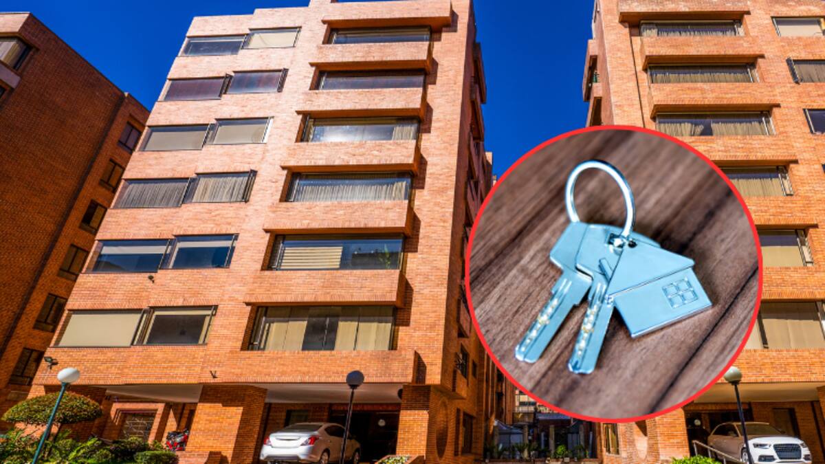¿Dónde es más rentable comprar un apartamento para arrendar? Ciudad, según IA