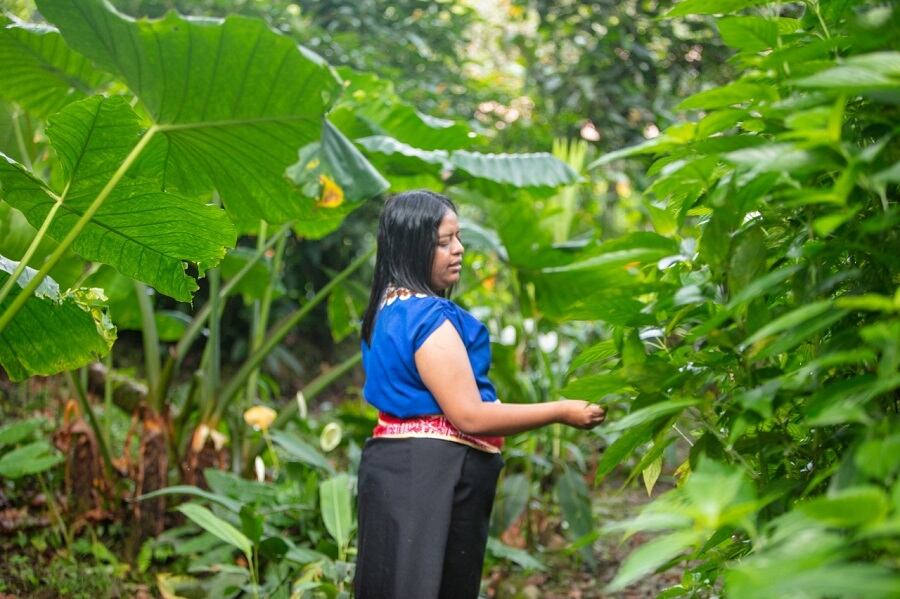 Fondo Mujer Libre y Productiva