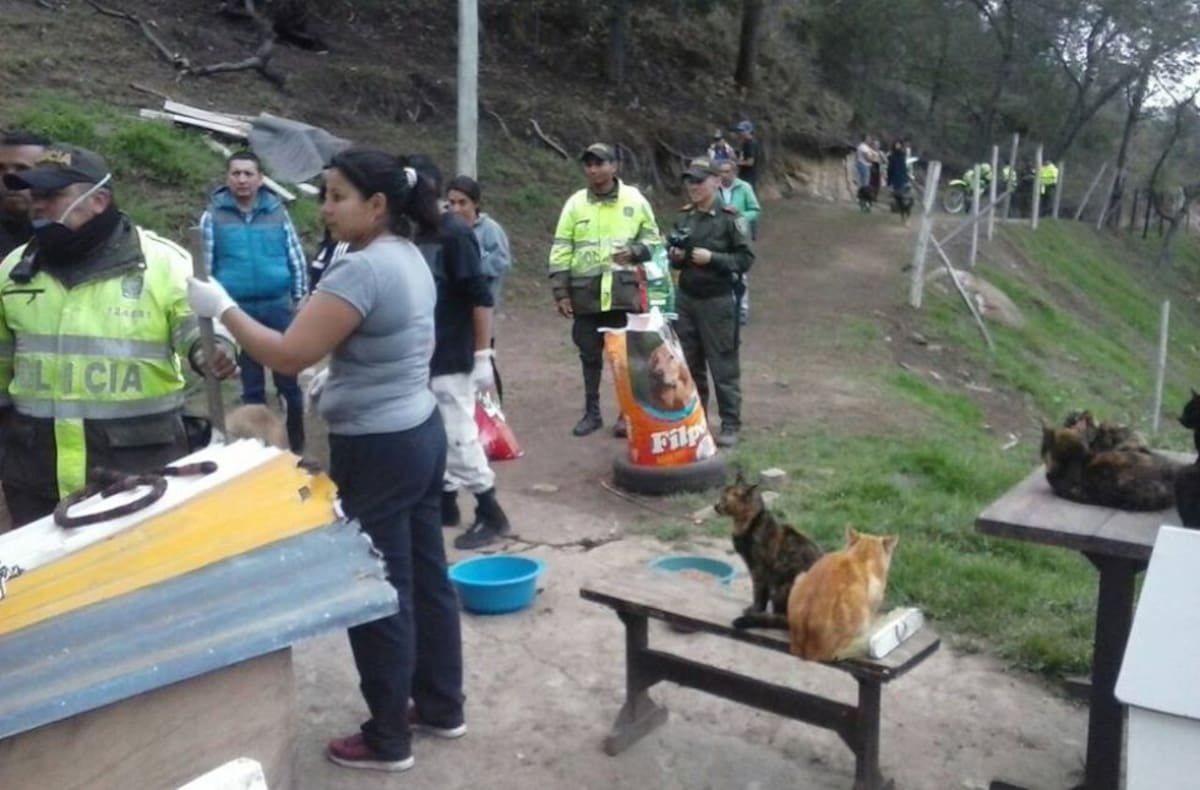 Las autoridades también acompañaron la brigada de los animalistas 