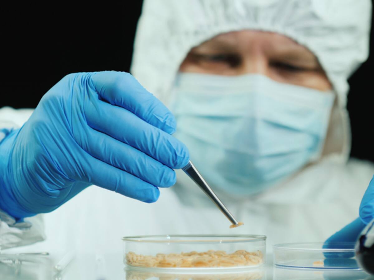 Terapia con gusanos para tratar heridas profundas y sus asombrosos resultados