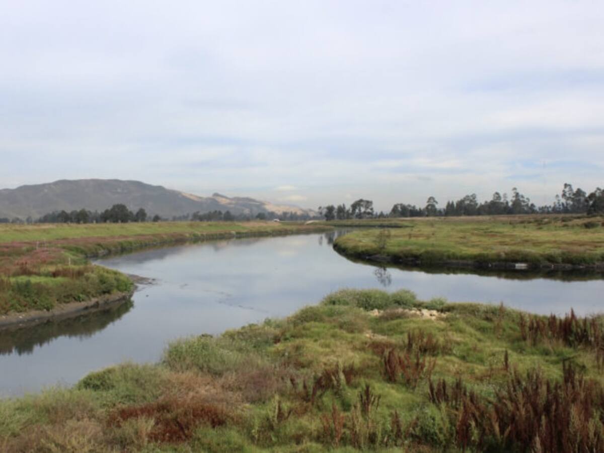 Fue encontrado el cuerpo de un joven de 14 años en inmediaciones el río Tunjuelito