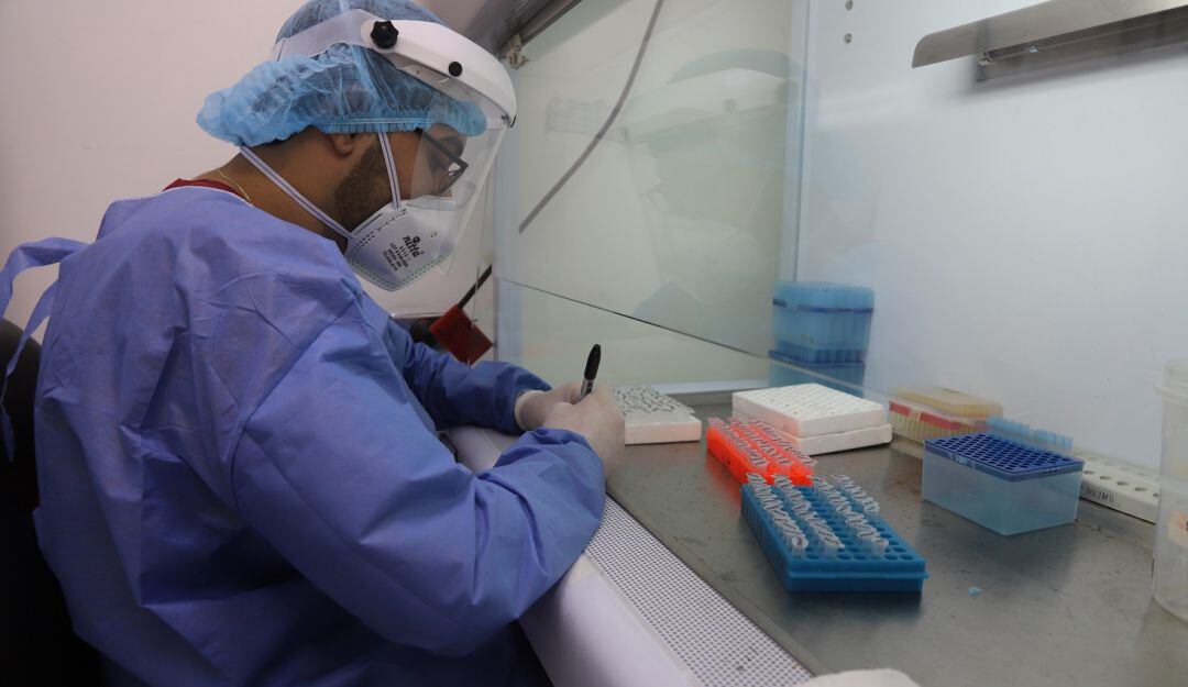 La Universidad de Cartagena ingresó por primera vez en el QS World University Rankings 2023 ranking de las mejores universidades del mundo.