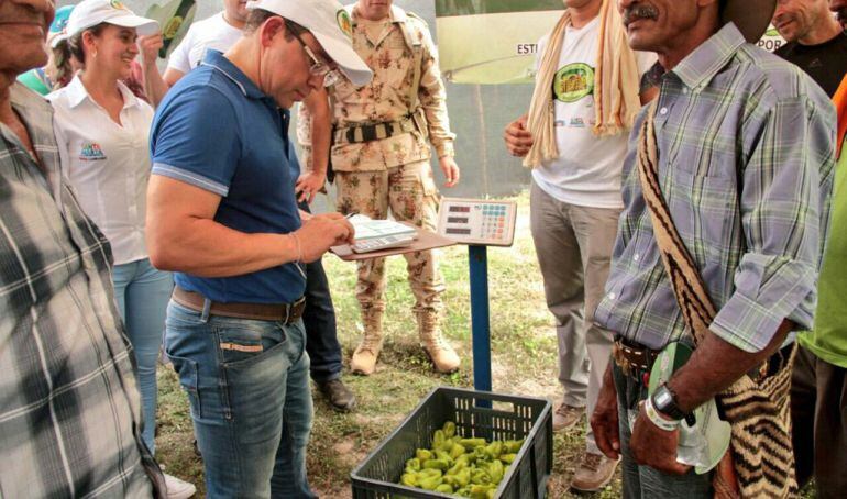 Alcalde le compra a los campesinos.