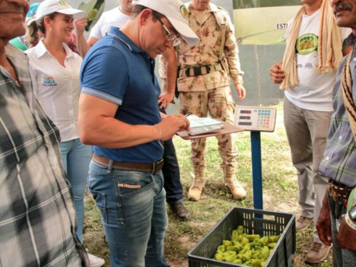 Campesinos recobran esperanzas con el programa La Sierra Vuelve a Sembrar