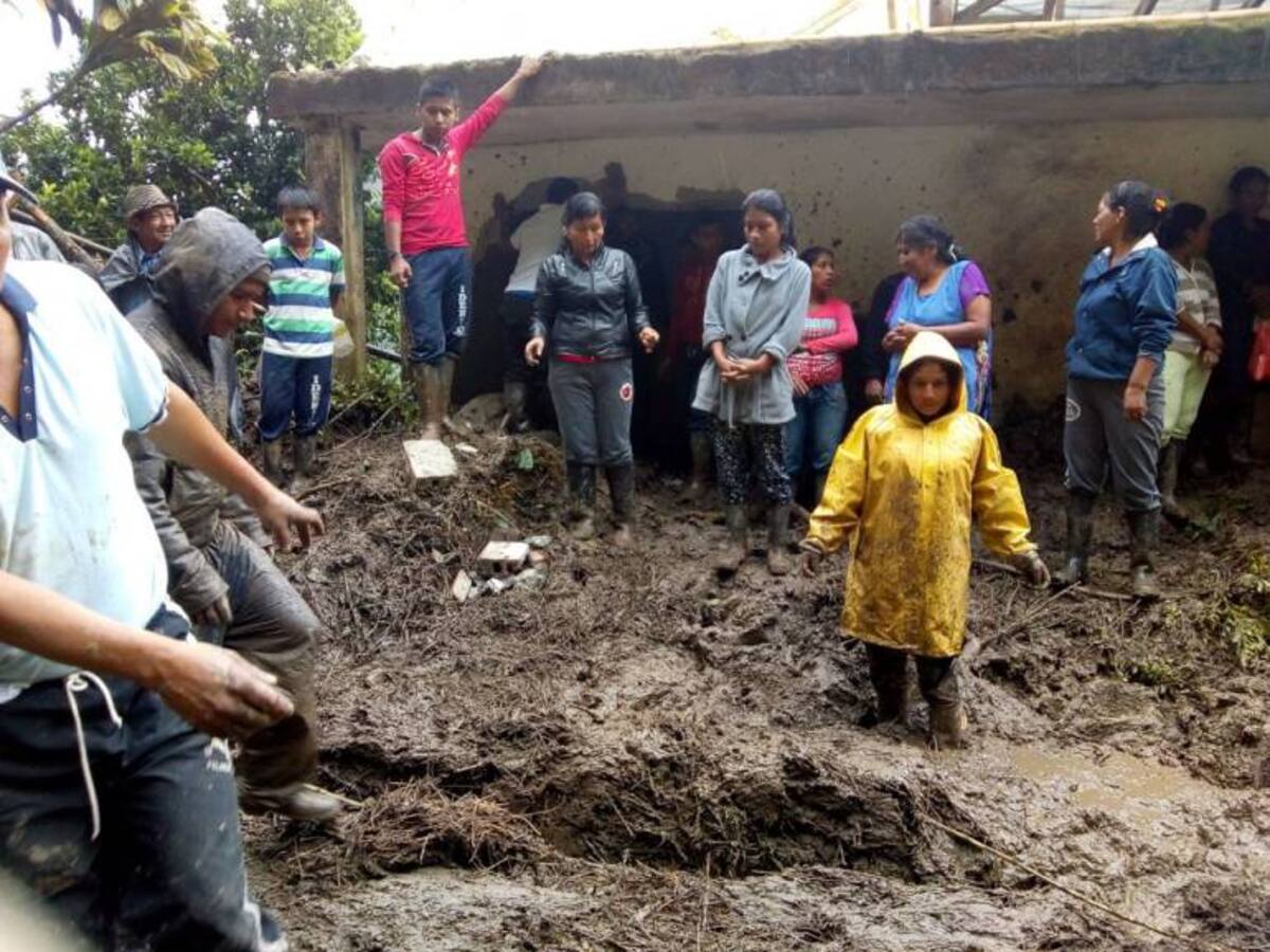 Invierno afecta cultivos en Florida, Yotoco y Ginebra
