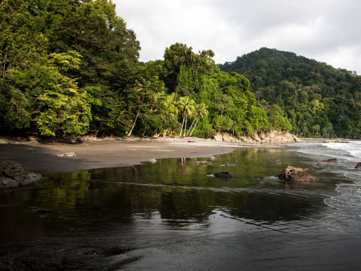 Debe discutirse en la COP16 recursos para comunidades que conservan la biodiversidad