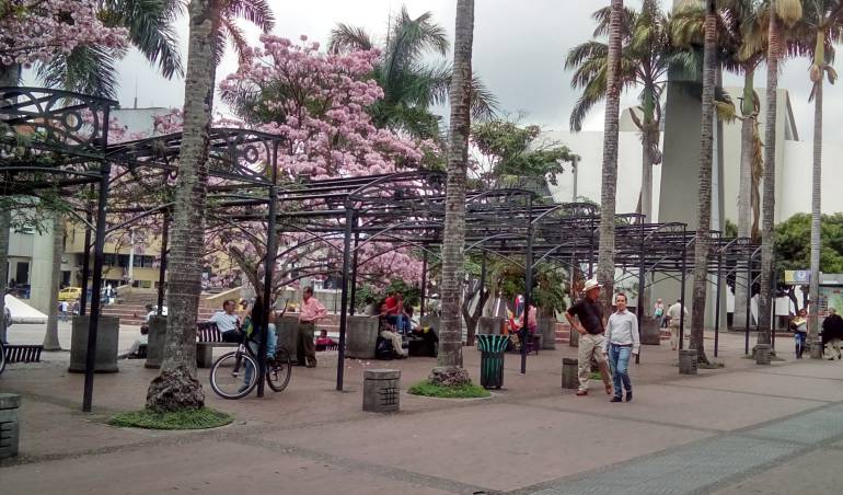 Síganos en twitter @caracolarmenia1 y en Facebook Caracol Radio Armenia 1150AM