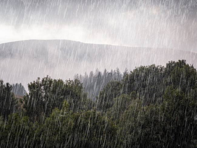 Lluvias y fuertes vientos afectan servicio de electricidad en 9 municipios de Sucre     / Imagen de referencia vía Getty Images.