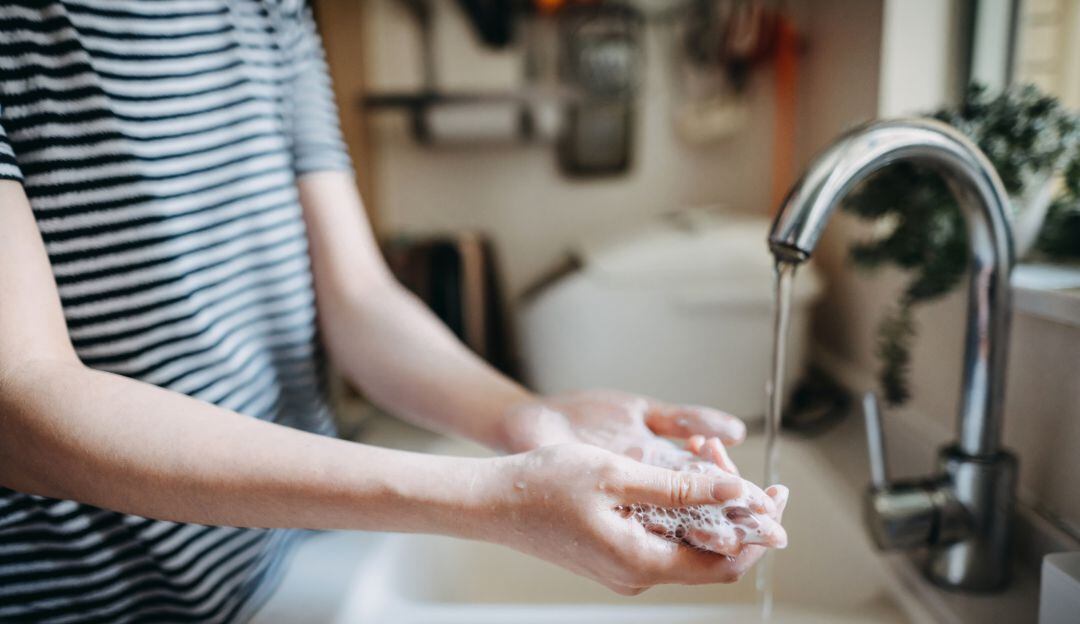 Imagen de referencia