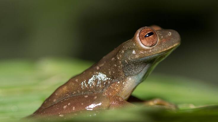 “Encontramos 238 especies en una zona que no se había hecho una expedición”