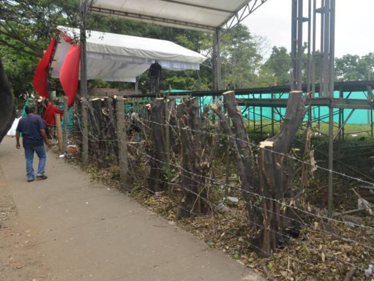 ‘Tatequieto’ de la Personería a la tala de árboles en Bogotá