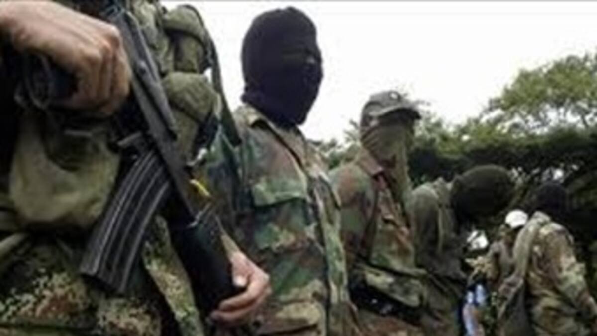 Capturan a cinco guerrilleros de las Farc en Buenaventura