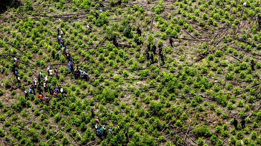 Gobierno le recuerda a EE.UU. que el problema de las drogas es global. Foto: Colprensa