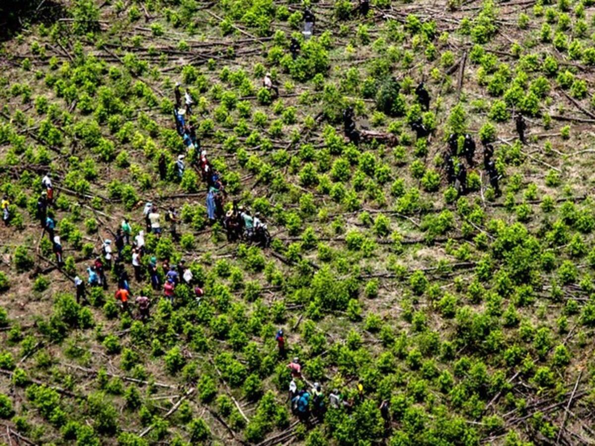 Nadie tiene que amenazarnos para enfrentar este desafío: Colombia a Estados Unidos