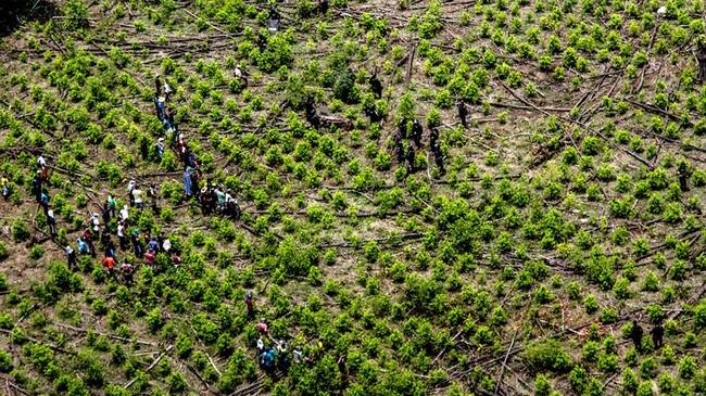 Gobierno le recuerda a EE.UU. que el problema de las drogas es global. Foto: Colprensa