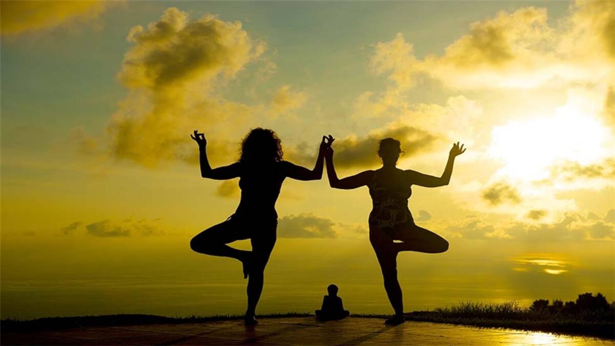 Nestor Julián nos envía esta foto de mariposas posando en un tronco tomada en el Mariposario del Jardín Botánico del Quindio.