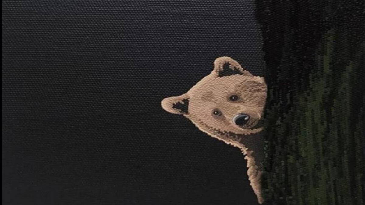 De Película en el Festival de cine de Villa de Leyva, 13 de diciembre