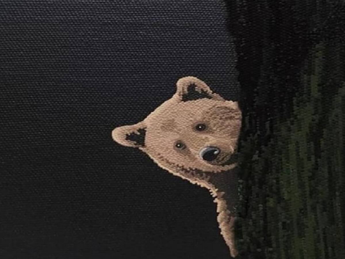 De Película en el Festival de cine de Villa de Leyva, 13 de diciembre