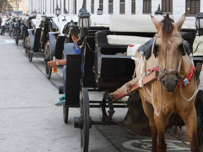 Cocheros de Cartagena, en desacuerdo con piloto de coches eléctricos; concejal lo defiende