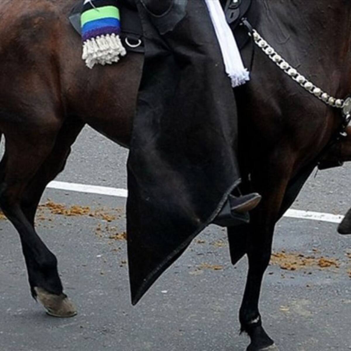 Las autoridades sancionaron a 12 personas que se encontraban en cabalgata