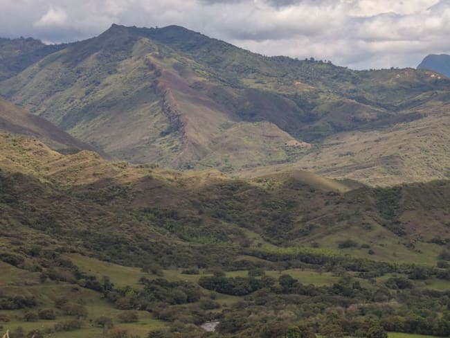 Avanza la restauración natural de 540 hectáreas en Colombia