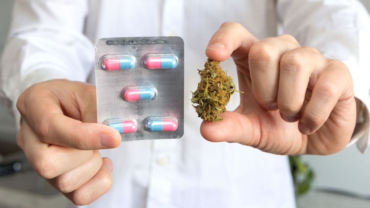 Capital Salud entregará productos con cannabis medicinal a sus pacientes en Bogotá