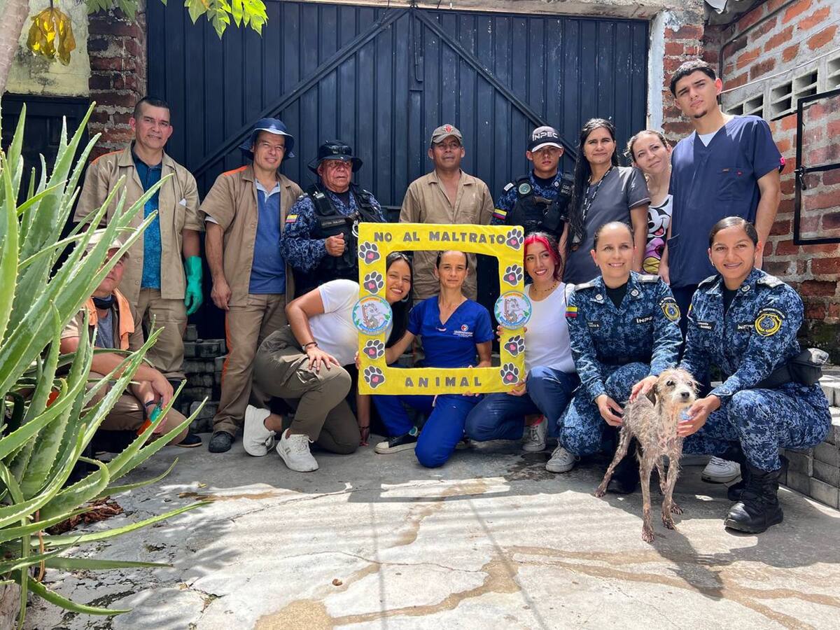 Internos de la cárcel de Picaleña hacen trabajo social en refugios animalistas de Ibagué