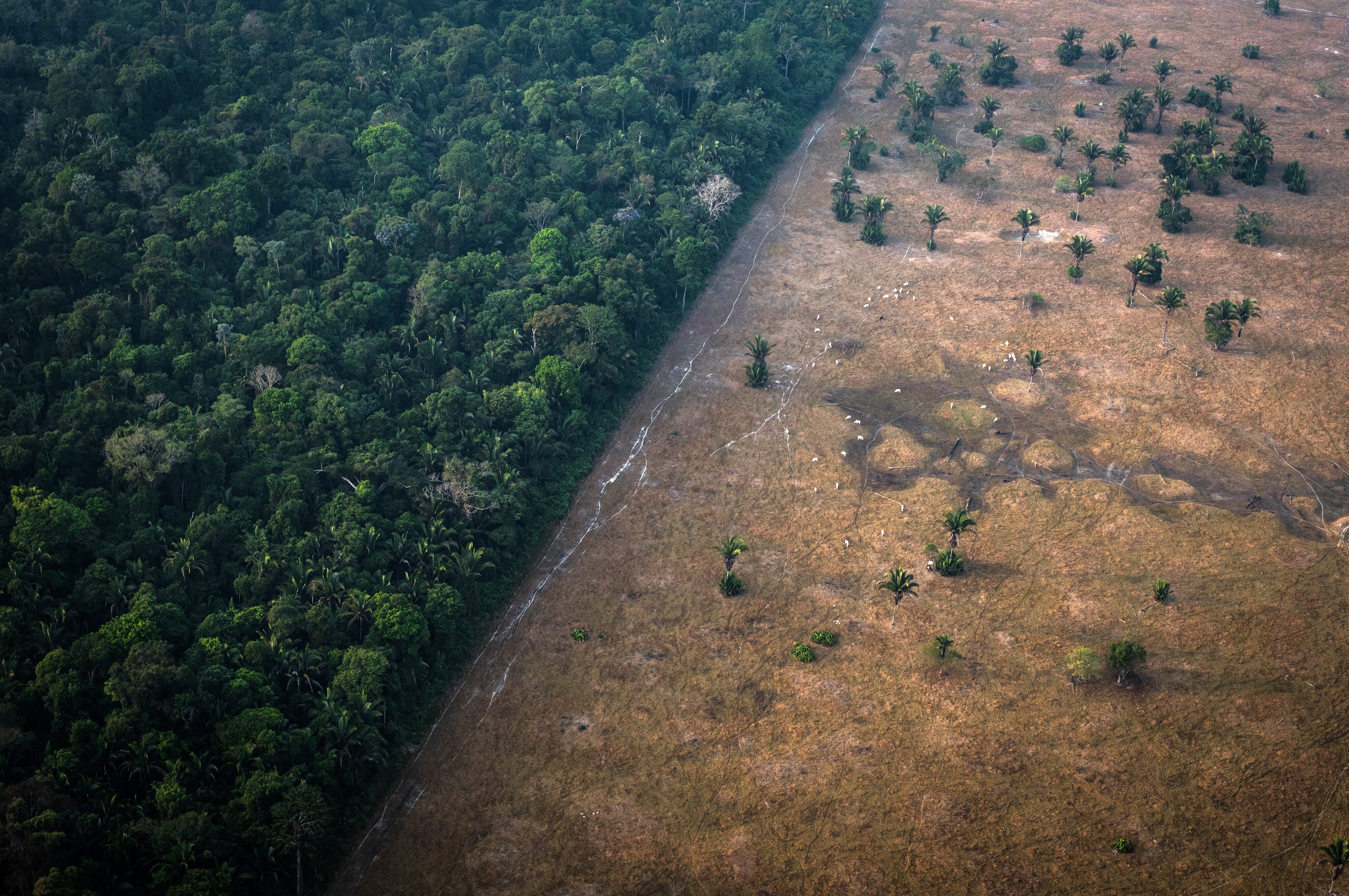 Photographer: Leonardo Carrato/Bloomberg