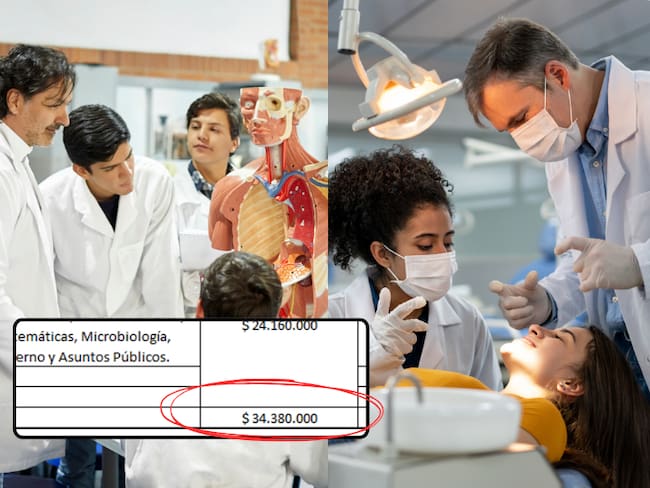 Estudiantes de medicina y odontología en clases de sus respectivas carreras (Getty Images)