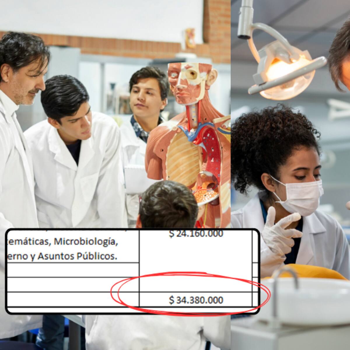 ¿Qué carrera es más cara: Odontología o Medicina? Costos y duración en 2024