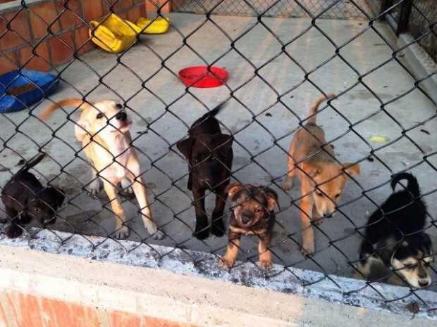 Foto diario La Patria