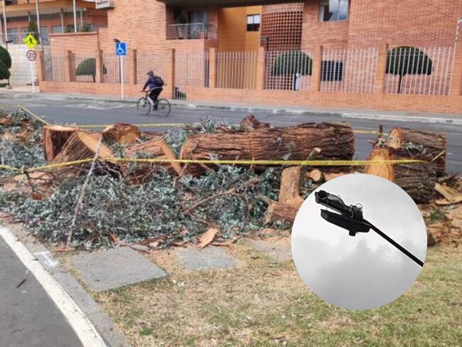 Fotos: Heidy Sánchez @heidy_up | X (antes Twitter)