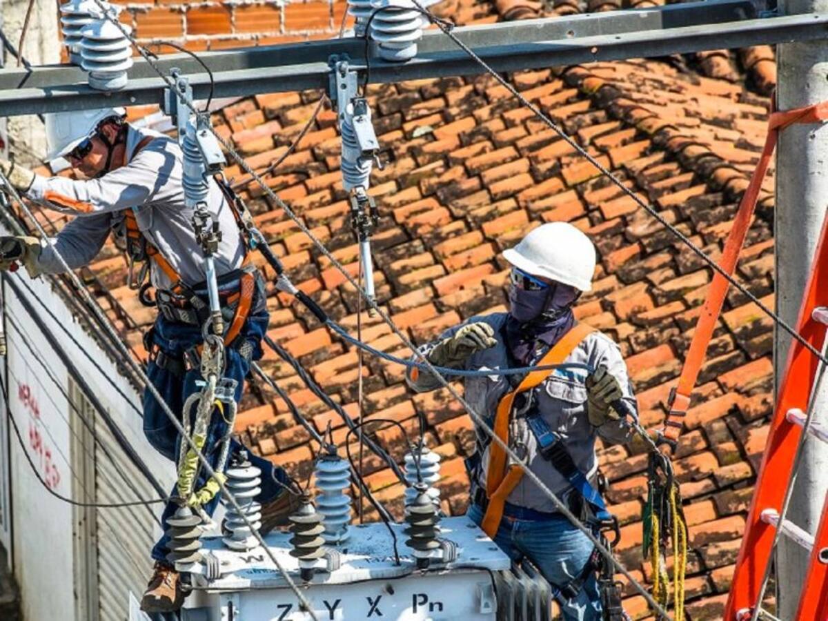 Aumentan transferencias de Celsia al Tolima
