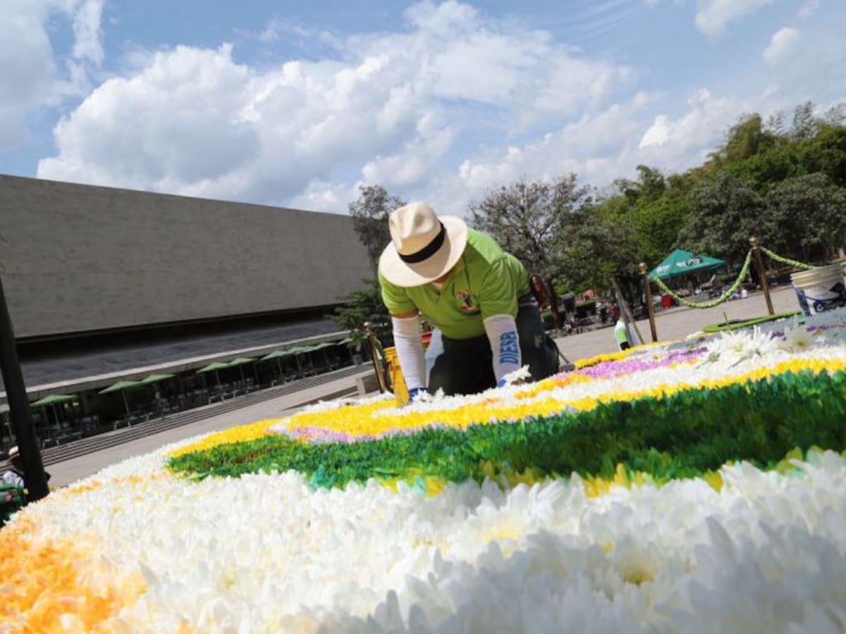 Elaboran la silleta más grande en toda la historia de la Feria de las Flores