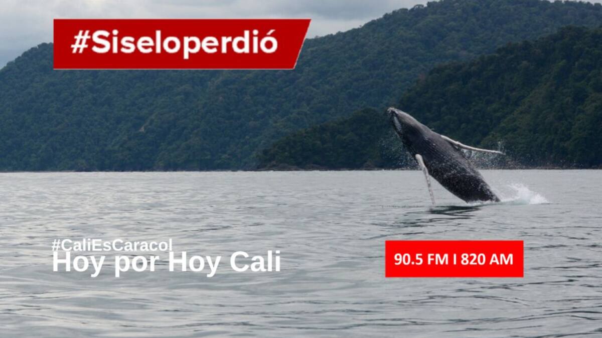 Cali Hoy por Hoy 17 de junio del 2020