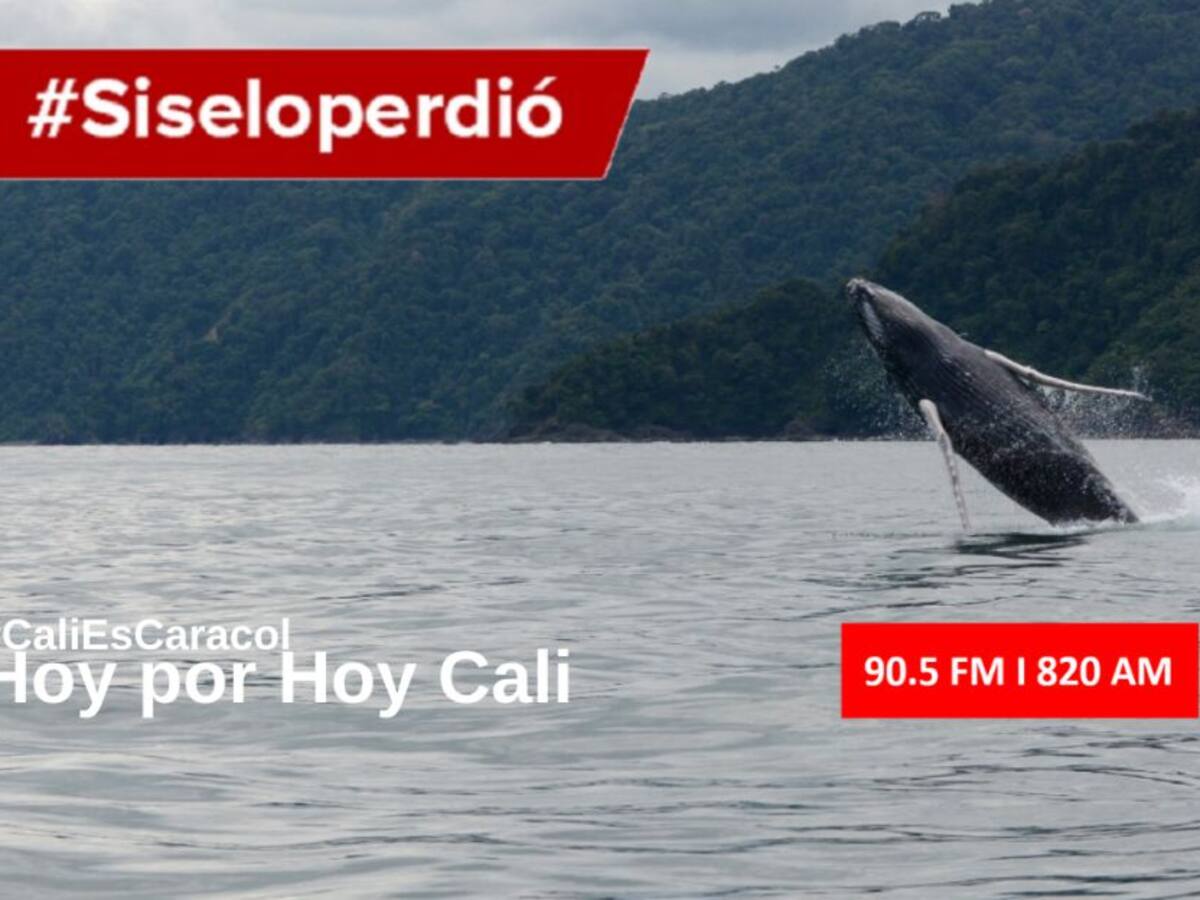 Cali Hoy por Hoy 17 de junio del 2020