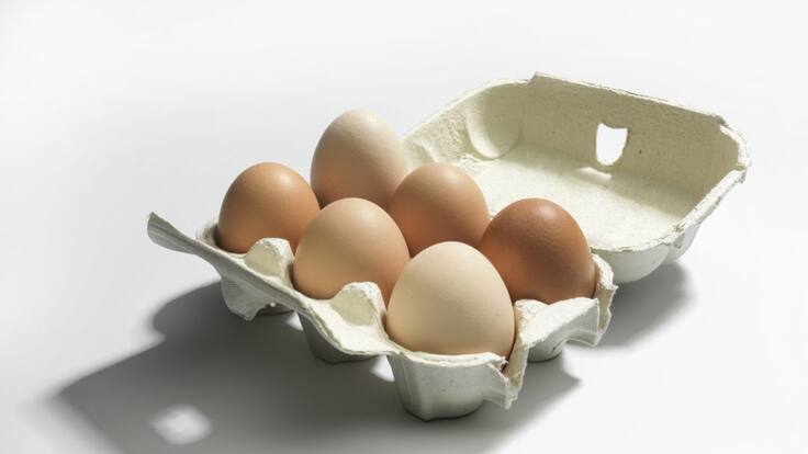 Fenavi advirtió que el precio del huevo seguirá alto en 2022