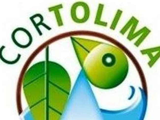 Cortolima entregó licencia a proyecto hidroeléctrico
