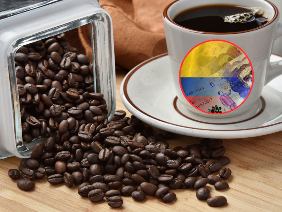 Análisis precio del café HOY 26 de junio en Colombia: ¿a cómo está el valor del kilo y por qué?