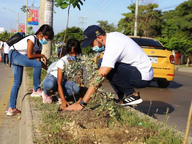 1.000 árboles fueron sembrados en la transversal 54 de la ciudad de Cartagena, entre el CAI de Ceballos y la bomba ubicada del sector El Amparo