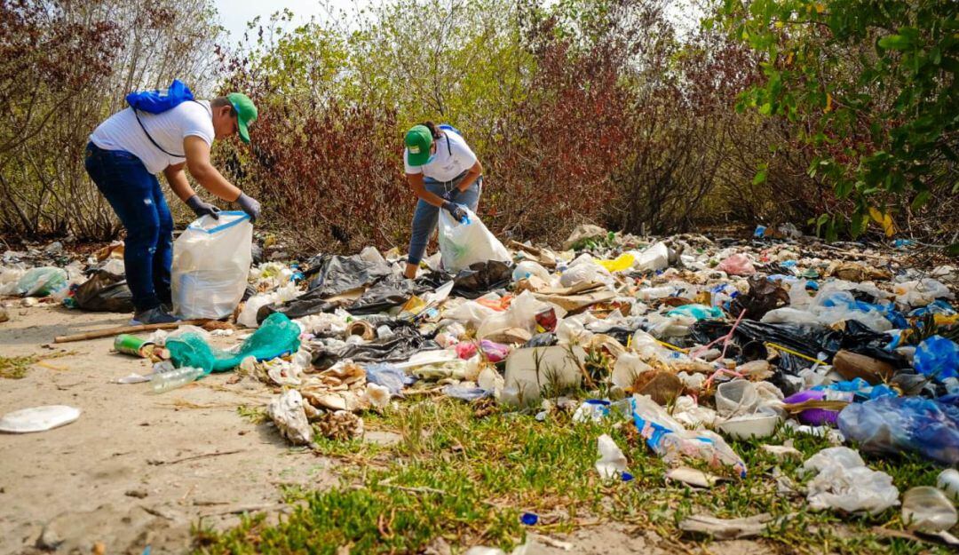 Se pretende reducir la contaminación de los ecosistemas marinos en la isla de Barú