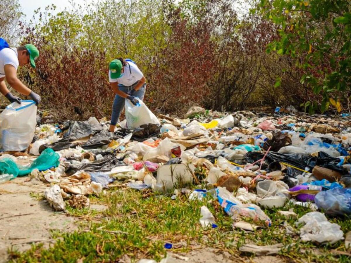 Alcaldía de Cartagena y empresa privada adelantó limpieza de Playa Blanca