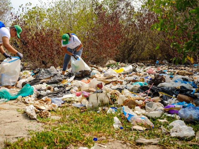 Se pretende reducir la contaminación de los ecosistemas marinos en la isla de Barú