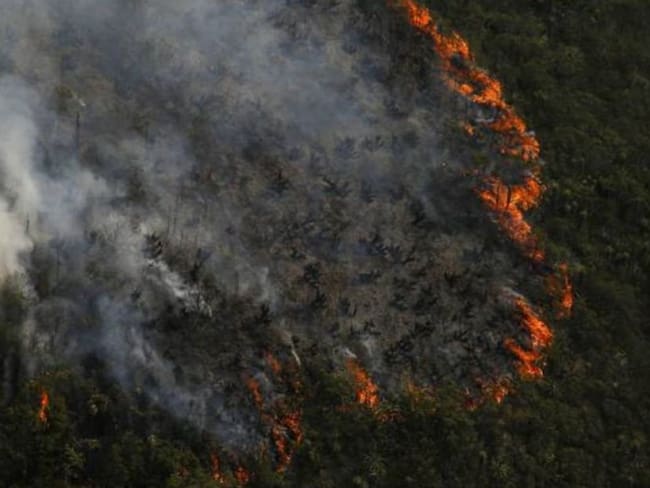 Activan alertas por riesgo de incendios forestales en la Sierra Nevada