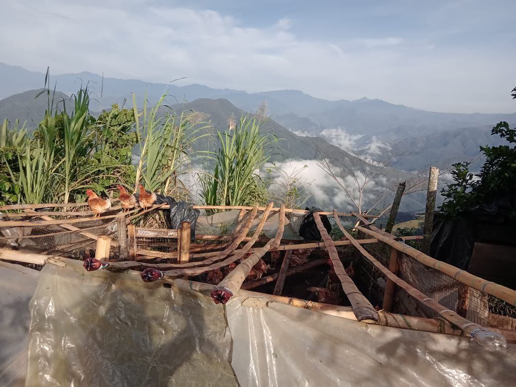 Pérdida total y parcial de las cubiertas en viviendas del municipio de Samaná.