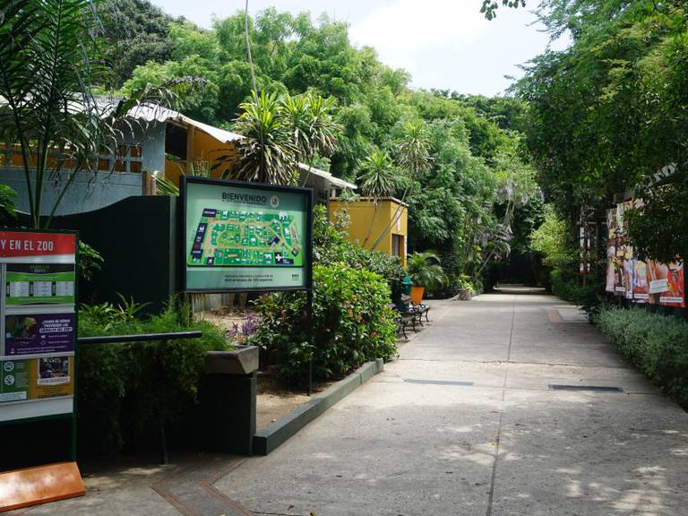 Zoológico cerrará sus puertas por falta de recursos(Cortesía)