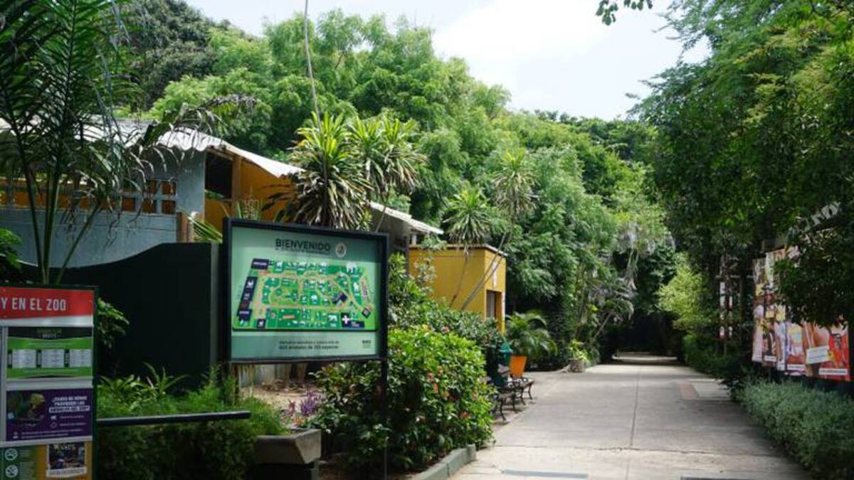 Estudian ubicar Zoológico de Barranquilla al lado de Ecoparque de la Ciénaga de Mallorquín